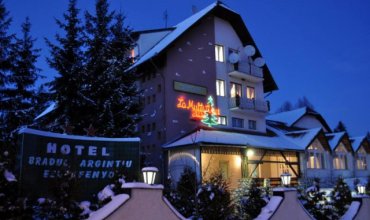 Hotel Bradul Argintiu 