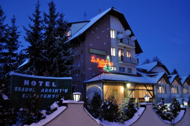 Hotel Bradul Argintiu 