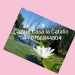 Casa la Catalin Sulina