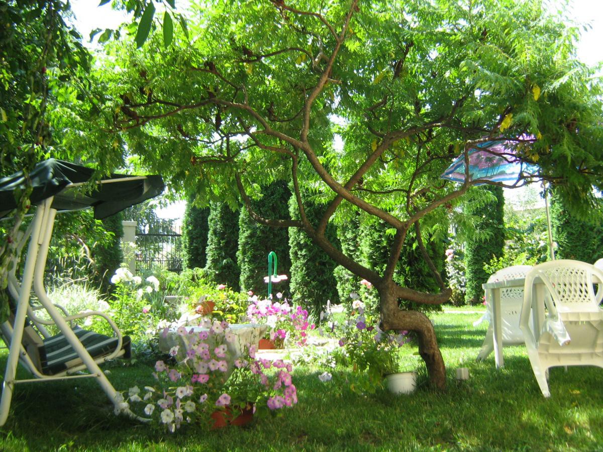 Pensiunea Casablanca Campina