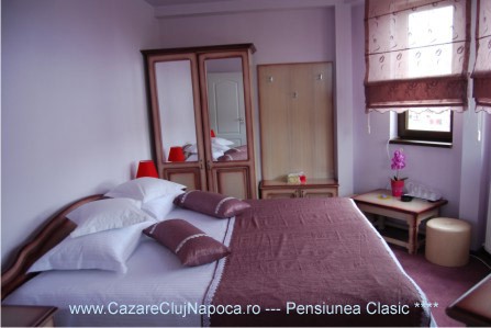 Pensiunea Clasic Floresti