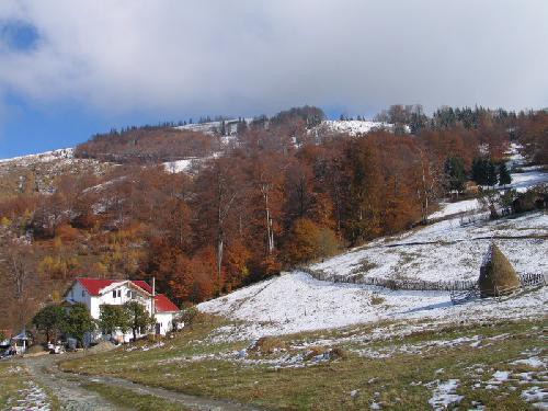 Vila  Manici Petrosani