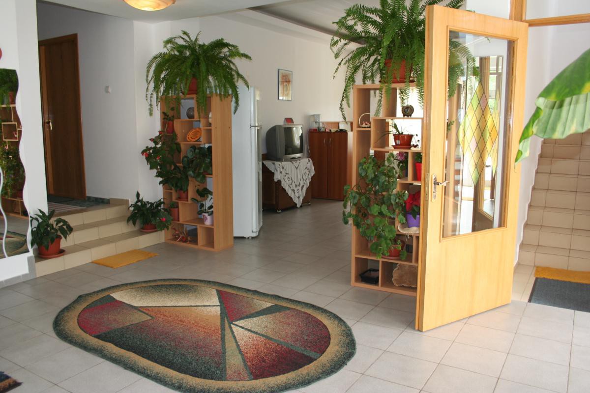 Pensiunea Valea Alba Busteni